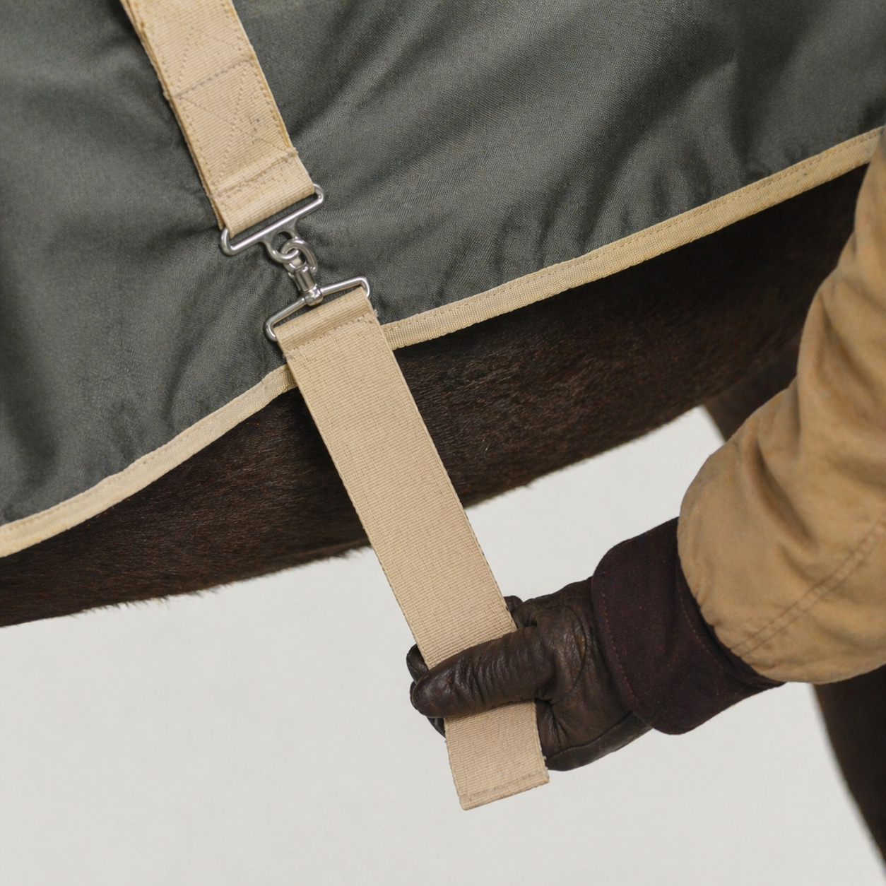 horse blankets,turnout sheets,fly sheets,Fly Season